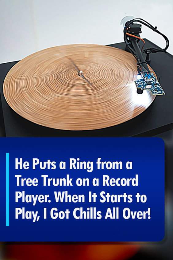 (VIDEO)He Puts a Ring from a Tree Trunk on a Record Player. This Is the Most Extraordinary Sound of Nature I Have Ever Heard.